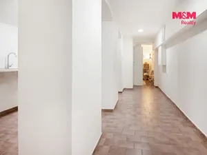 Prodej obchodního prostoru, Brno - Zábrdovice, Merhautova, 85 m2