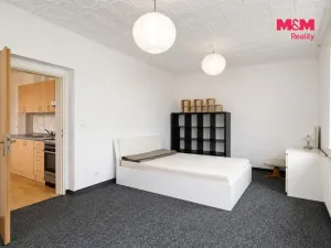 Pronájem bytu 1+1, Nová Role, U Plynárny, 38 m2