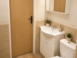 Pronájem bytu 2+kk, Ústí nad Labem - Střekov, Tolstého, 39 m2