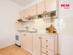 Prodej bytu 2+kk, České Budějovice - České Budějovice 3, Riegrova, 44 m2