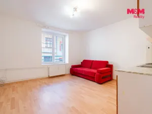 Prodej bytu 2+kk, České Budějovice - České Budějovice 3, Riegrova, 44 m2