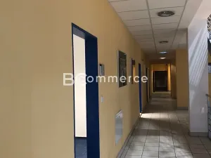 Pronájem kanceláře, Brno, 24 m2