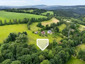 Prodej chalupy, Zlatá Olešnice, 112 m2