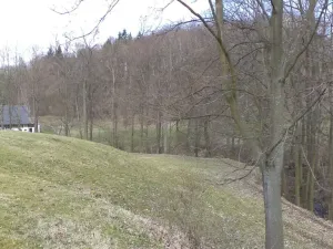 Prodej pole, Heřmanov - Fojtovice, 4633 m2