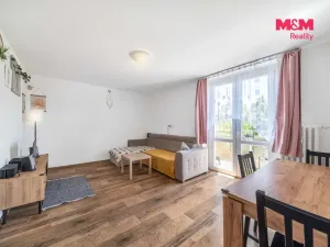 Prodej bytu 3+1, Plzeň - Lobzy, Rokycanská, 64 m2