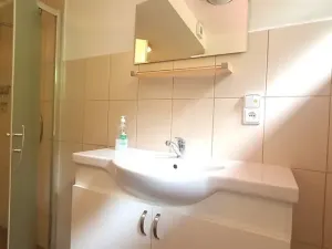 Prodej apartmánu, Šumvald, 350 m2
