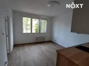 Pronájem bytu 1+1, Tábor, Sokolovská, 37 m2