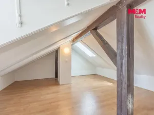 Pronájem bytu 1+1, Praha - Vinohrady, Záhřebská, 88 m2