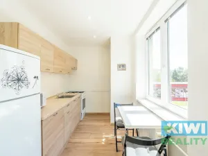 Pronájem bytu 1+1, Havířov, Dlouhá třída, 36 m2