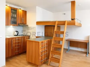 Pronájem bytu 1+kk, Praha - Záběhlice, Ve slatinách, 34 m2