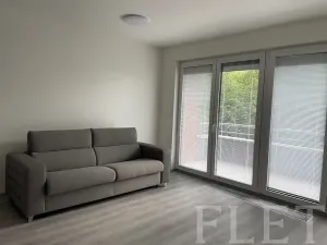 Pronájem bytu 1+kk, Praha - Záběhlice, Klapálkova, 31 m2