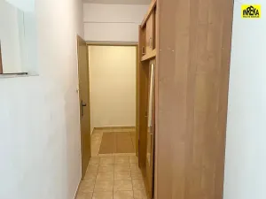 Prodej bytu 1+1, Tábor, Moskevská, 44 m2