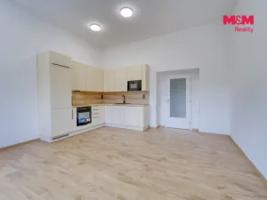 Pronájem bytu 2+kk, Plzeň - Jižní Předměstí, Kardinála Berana, 60 m2