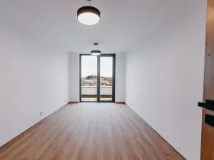 Pronájem apartmánu, Brno, Čechyňská, 40 m2