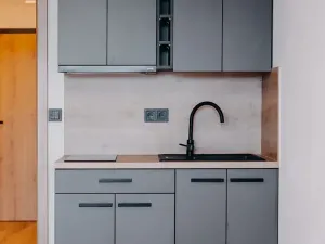 Pronájem apartmánu, Brno, Čechyňská, 40 m2