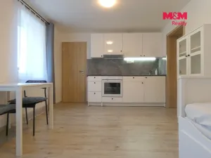 Prodej bytu 1+kk, Lošany, 27 m2