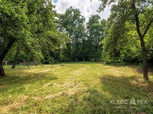 Prodej chalupy, Staré Hobzí, 173 m2