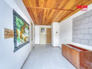 Prodej komerčního pozemku, Vráž, 16101 m2