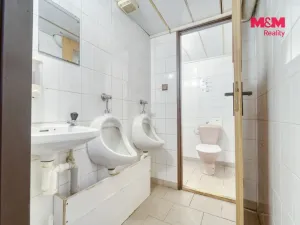 Prodej komerčního pozemku, Vráž, 16101 m2