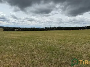 Prodej pole, Suchý, 2000 m2