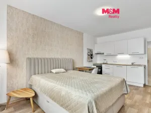 Prodej bytu 1+kk, Nový Bor, Svojsíkova, 29 m2