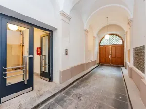 Pronájem bytu 1+kk, Praha - Karlín, Vítkova, 29 m2