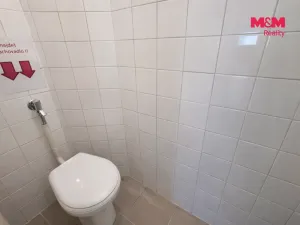 Pronájem obchodního prostoru, Beroun - Beroun-Centrum, Česká, 64 m2