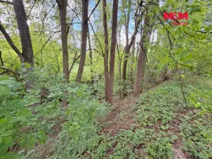 Prodej pozemku pro bydlení, Milešov, 2790 m2