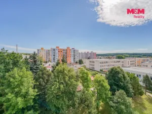 Prodej bytu 1+kk, Horní Bříza, U Vrbky, 22 m2