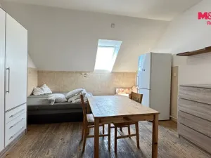 Pronájem činžovního domu, Bradlec, K Oboře, 280 m2