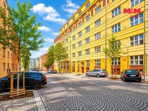 Prodej bytu 2+1, Praha - Žižkov, Baranova, 90 m2