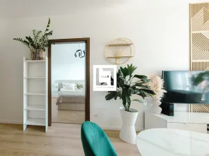 Prodej bytu 2+kk, Olomouc, Věry Pánkové, 60 m2