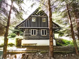 Pronájem rodinného domu, Poniklá, 97 m2