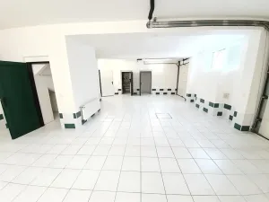 Pronájem rodinného domu, Praha - Řepy, 300 m2