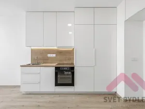 Pronájem bytu 1+kk, Praha - Žižkov, Biskupcova, 25 m2