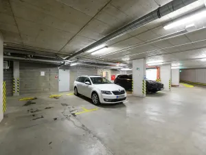 Pronájem obchodního prostoru, Plzeň, 132 m2