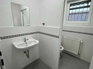 Pronájem komerčního pozemku, Malotice, 600 m2
