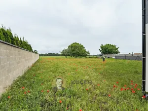 Prodej bytu 5+kk, Nemyslovice, 145 m2