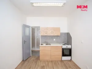 Pronájem bytu 1+kk, Jindřichův Hradec - Jindřichův Hradec III, Václavská, 24 m2