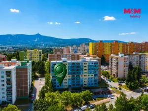 Prodej bytu 1+1, Liberec, Haškova, 39 m2