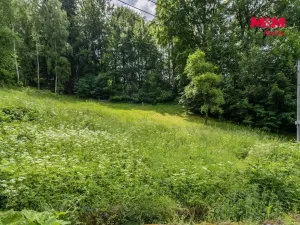 Prodej pozemku pro bydlení, Dolní Dvůr, 9366 m2