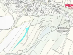 Prodej louky, Budišov nad Budišovkou, 6470 m2