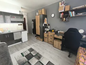 Prodej bytu 1+kk, Ústí nad Labem, Ladova, 21 m2