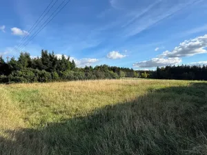 Prodej pozemku pro bydlení, Němčice, 1202 m2