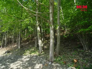 Prodej pozemku pro bydlení, Trojanovice, 977 m2
