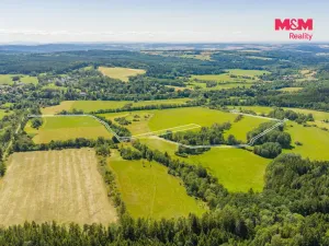 Prodej louky, Nové Mitrovice, 11703 m2