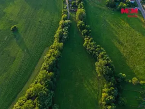 Prodej louky, Horní Bříza, 4590 m2