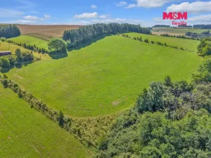 Prodej louky, Pecka, 17267 m2