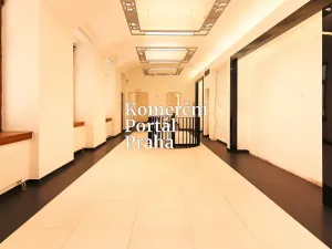 Pronájem restaurace, Praha - Nové Město, Václavské náměstí, 309 m2