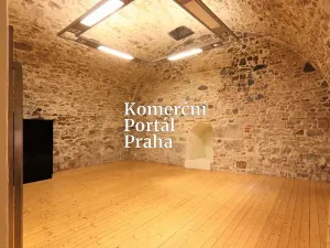 Pronájem restaurace, Praha - Nové Město, Václavské náměstí, 309 m2